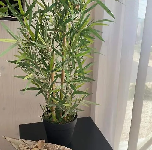 Buqez Eco - 37&40 * Pakoštane