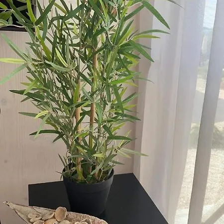 Buqez Eco - 37 And 40 * Pakoštane